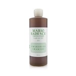 MARIO BADESCU 